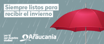 https://tiempo21.anacondaweb.in/wp-content/uploads/lateral_imagen_araucania_2.jpg